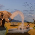 Douche improvisée en pleine savane...!