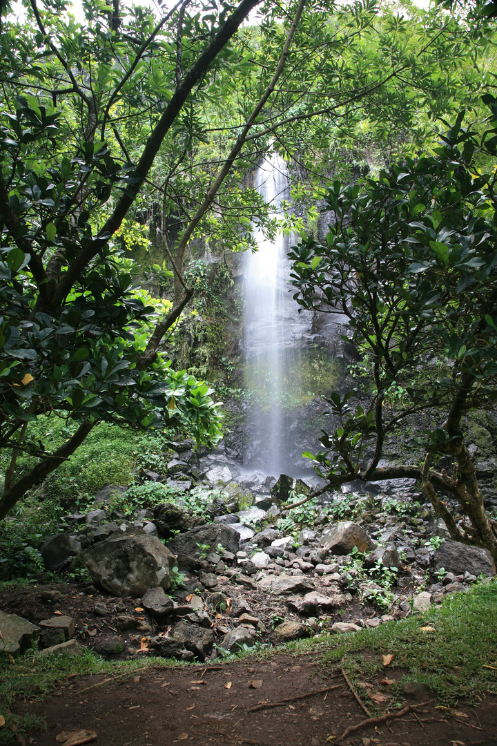 DOUCHE NATURELLE