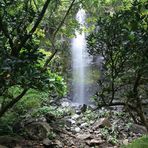 DOUCHE NATURELLE