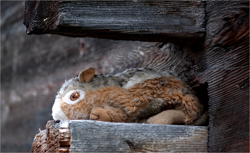 Doudou des montagnes.