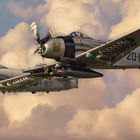 Douglas A-1 Skyraider