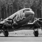 Douglas C-53D Skytrooper - N45366 "D-Day Doll"