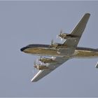 Douglas DC-6B Red Bull