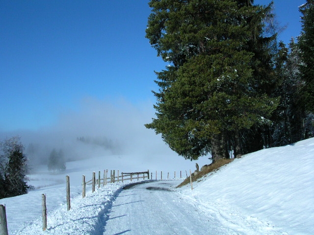 Douglas Kiefer im Winter auf dem Zugerberg