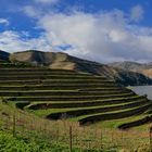 Douro