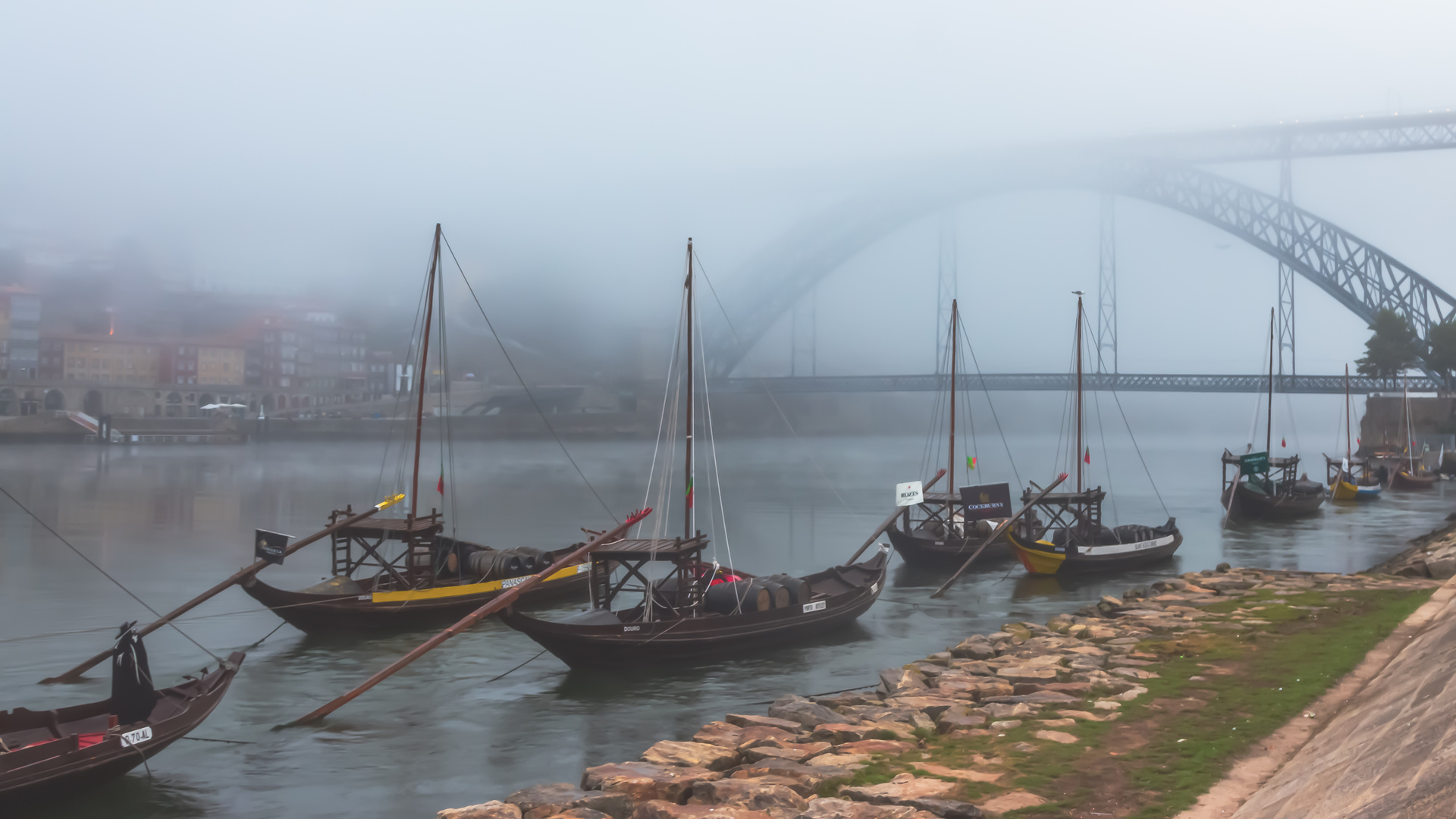 Douro in Nebel