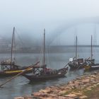 Douro in Nebel