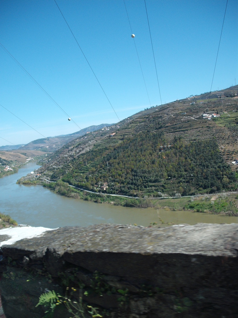 Douro River 1