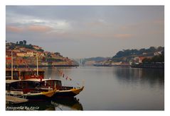 Douro River at the morning