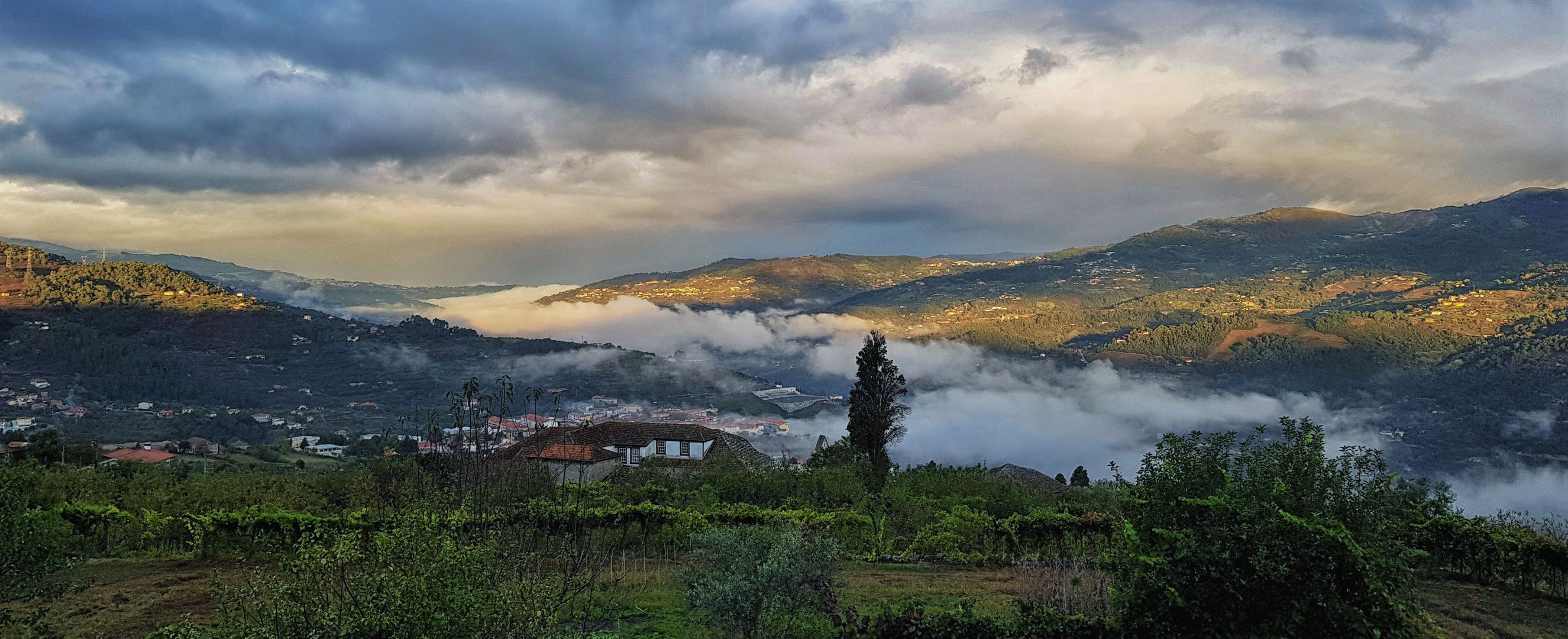 Douro Tal