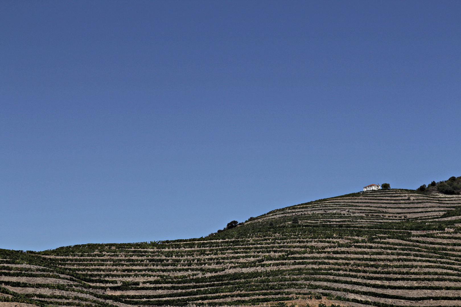 Douro-Tal