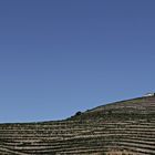 Douro-Tal