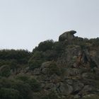 Douro- "Urso de Pedra"