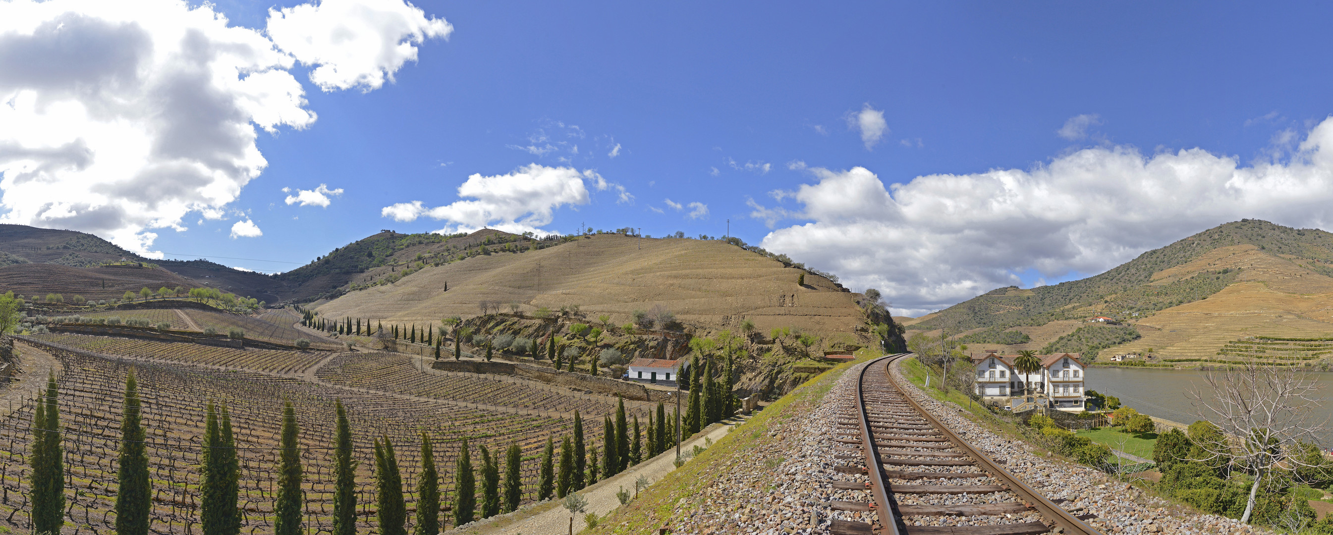 Douro - Vesúvio 