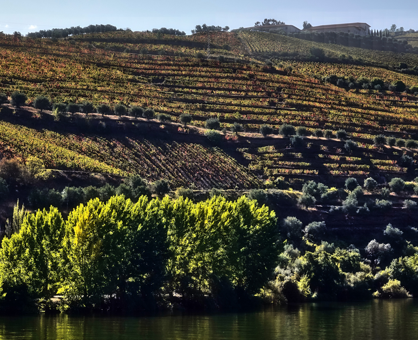 Douro Weinanbaugebiet 13