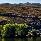 Douro Weinanbaugebiet 13