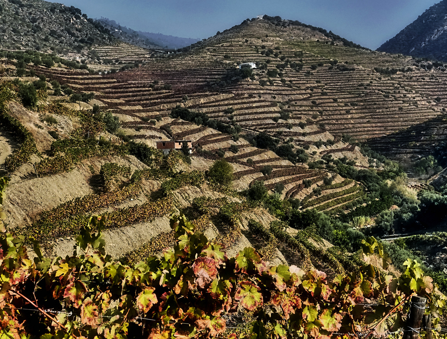 Douro Weinanbaugebiet-14
