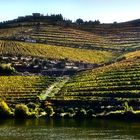 Douro Weinanbaugebiet 4