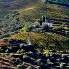 Douro Weinanbaugebiet 7