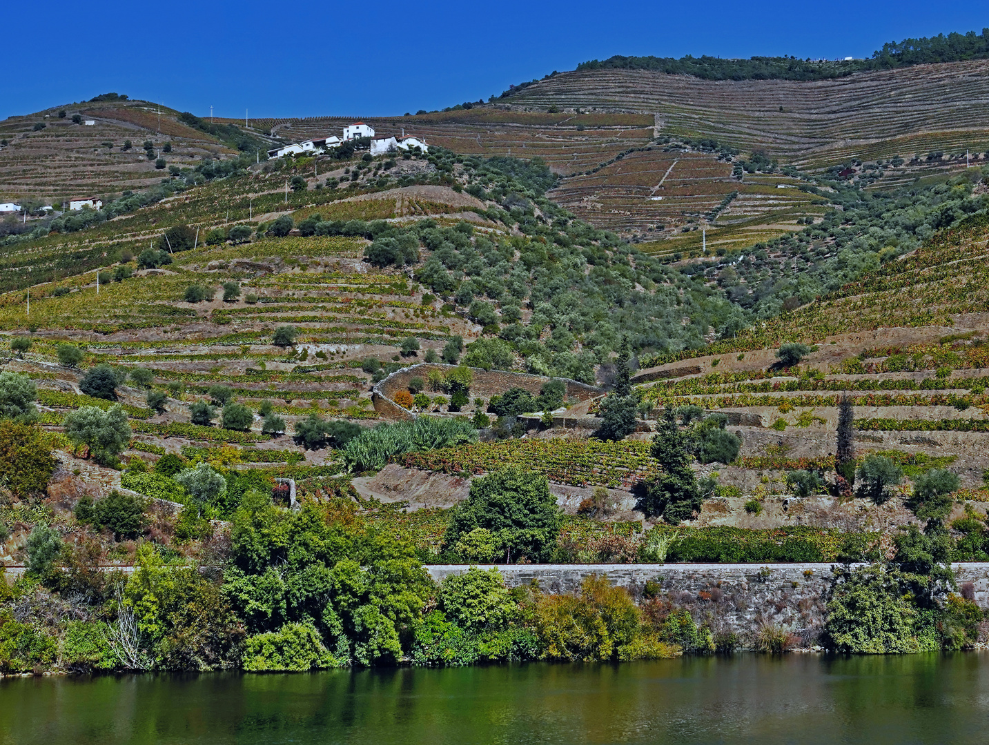 Douro Weinanbaugebiet 8