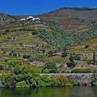 Douro Weinanbaugebiet 8