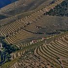 Douro Weinanbaugebiet