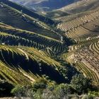 Douro Weinanbaugebiet