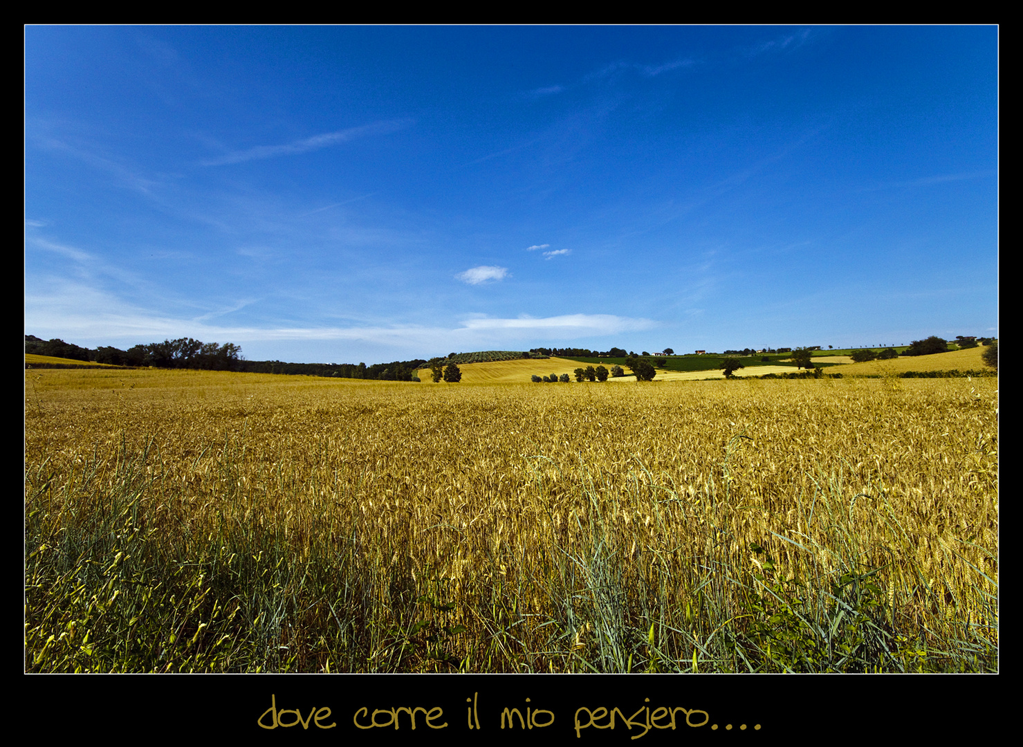 dove corre il mio pensiero...