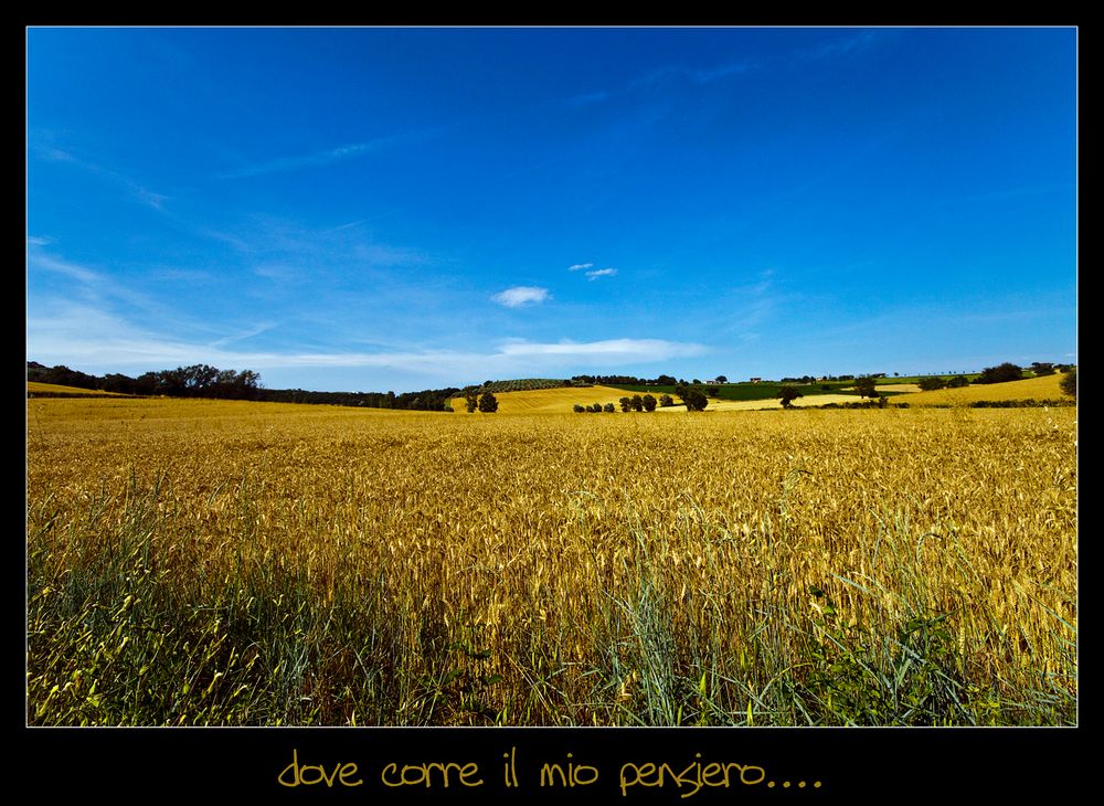 dove corre il mio pensiero...