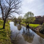 Dove Elbe  bei Dömitz 