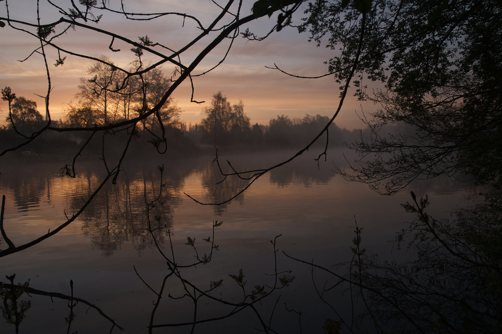 Dove Elbe - gar nicht doof 3