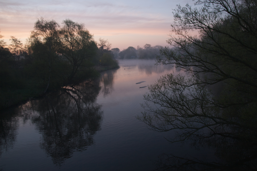 Dove Elbe - gar nicht doof 5