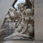 Dove in Milan Duomo