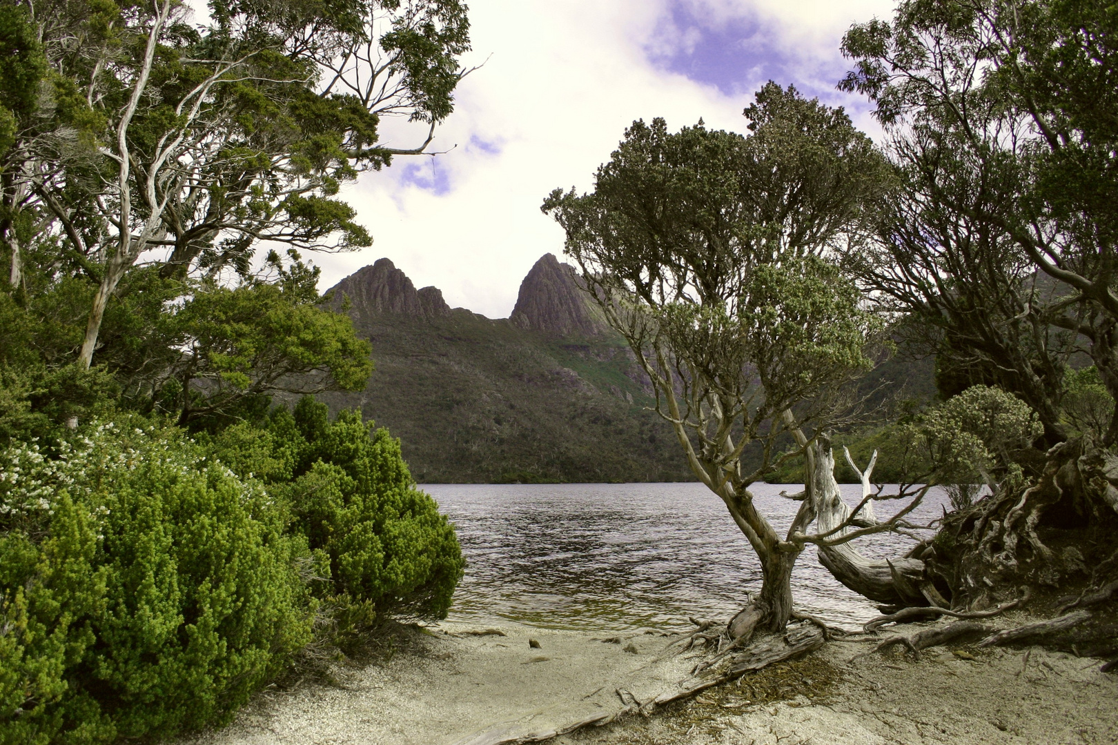 Dove Lake-eine andere Perspektive