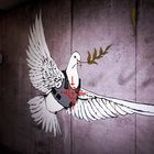 DOVE OF PEACE