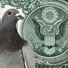 Dove on the background of dollar