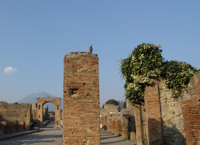 Dove over Ruins