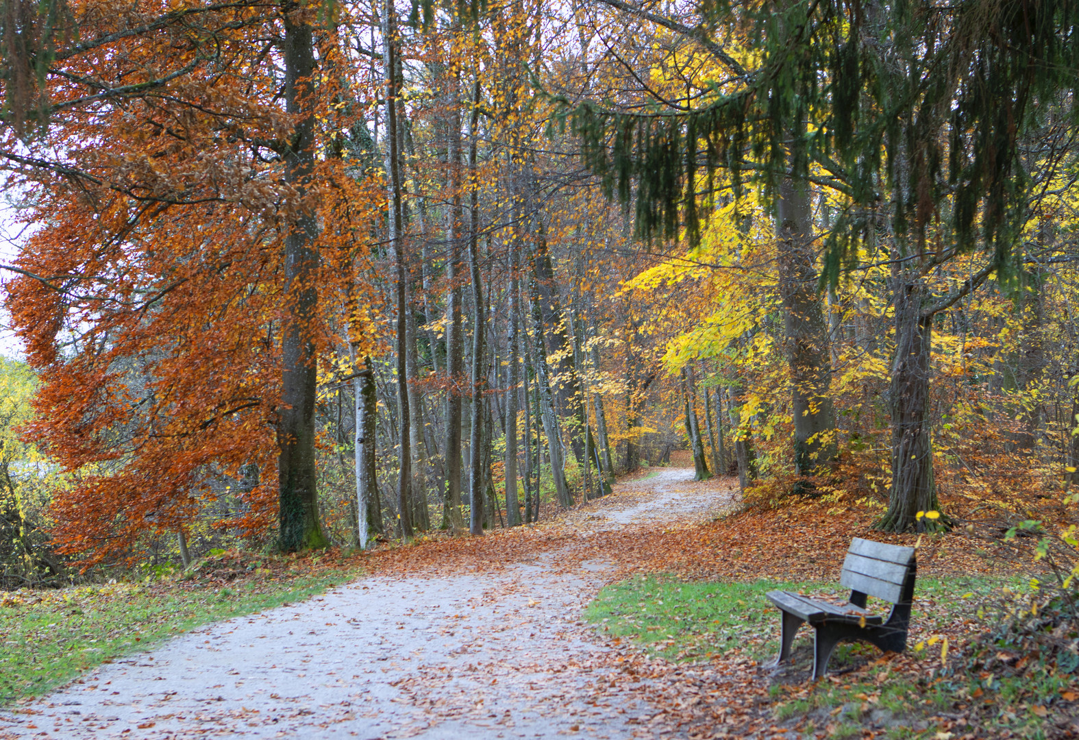 Dove sei? Foto & Bild | world, natur, landschaft Bilder auf fotocommunity