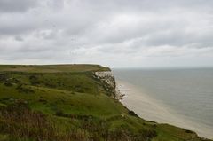 Dover White Cliffs