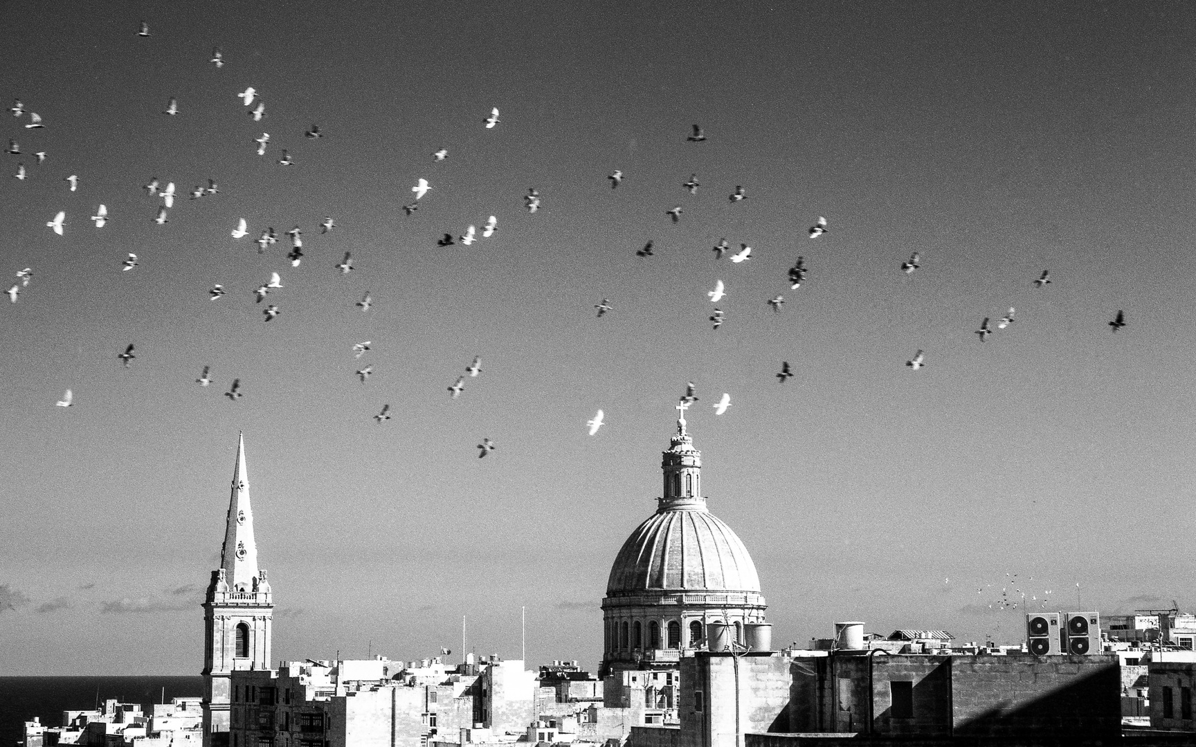 Doves over Valetta