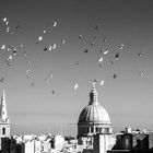 Doves over Valetta