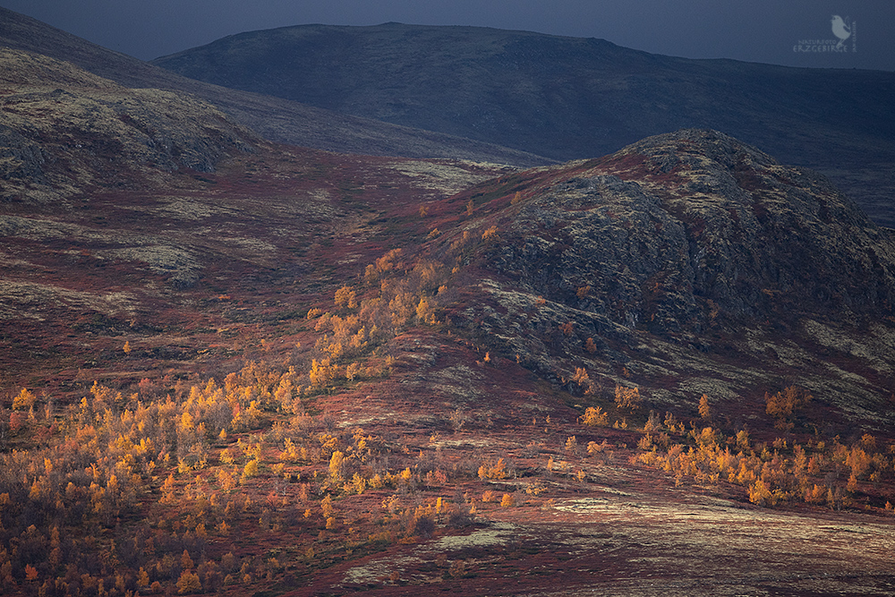 Dovre Fjell im Herbst