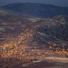 Dovre Fjell im Herbst