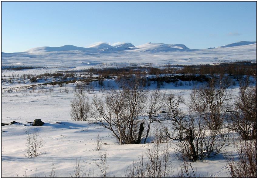 Dovre - kveld