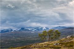 Dovrefjell