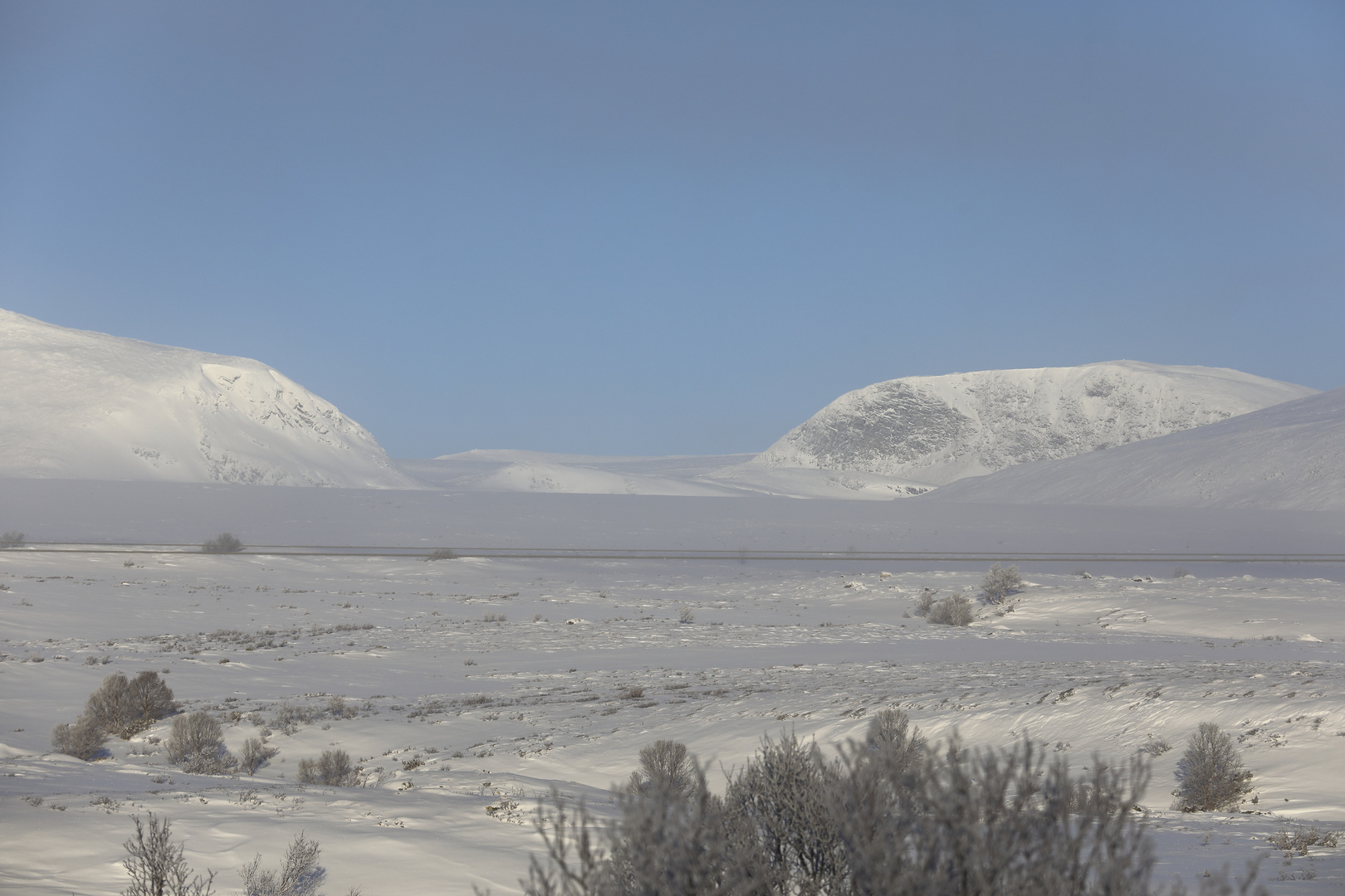 Dovrefjell 1