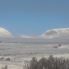 Dovrefjell 1