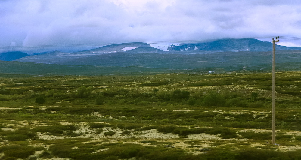 Dovrefjell