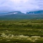 Dovrefjell