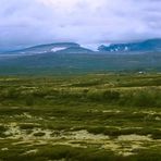 Dovrefjell